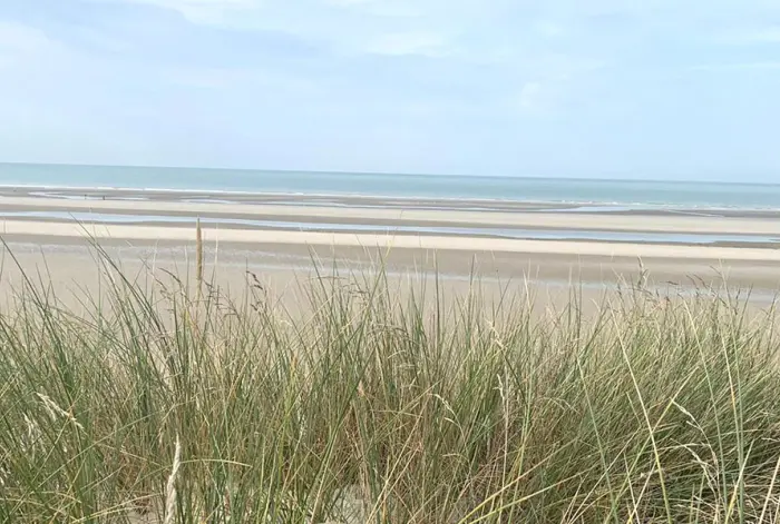 Entreprise Expert comptable Saint-Léonard