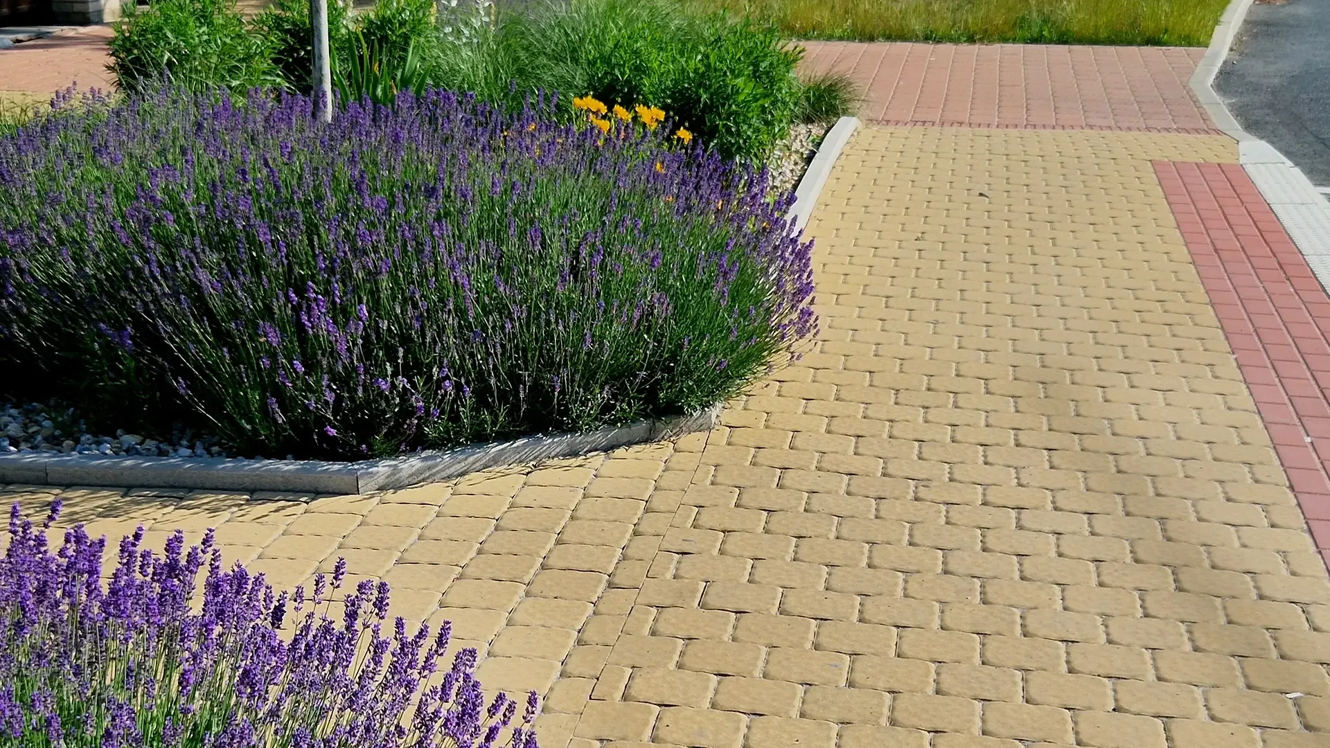 Terrassement et béton désactivé autour de Montélimar