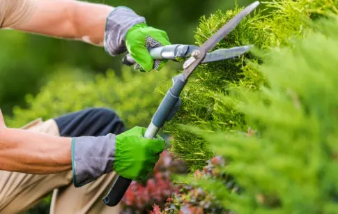 85LMql9eI9XFeQY7IT2FGtc0657ETbH9g0If1kfO