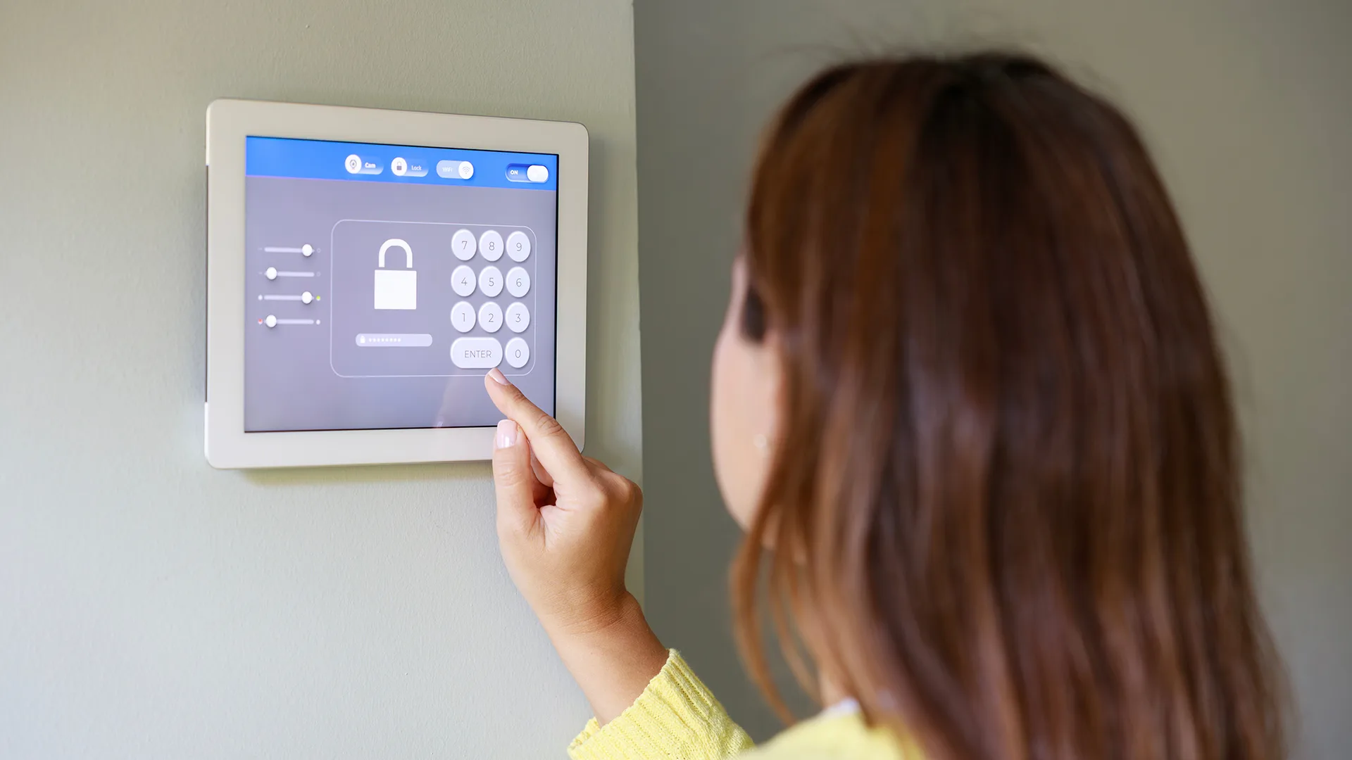 Entreprise Système de sécurité Issoire