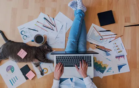 dome-connect-presta (2)