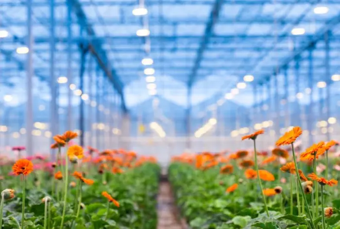 <pépinière et horticulture proche de Pontarlier>