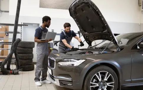 0566441c-b4f7-499d-bcc6-f91da78ce347