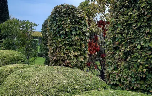 concept-paysage-champenois (30)