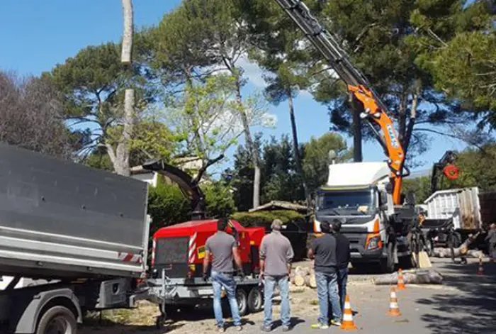 Entretien de jardins et espaces verts à Nice