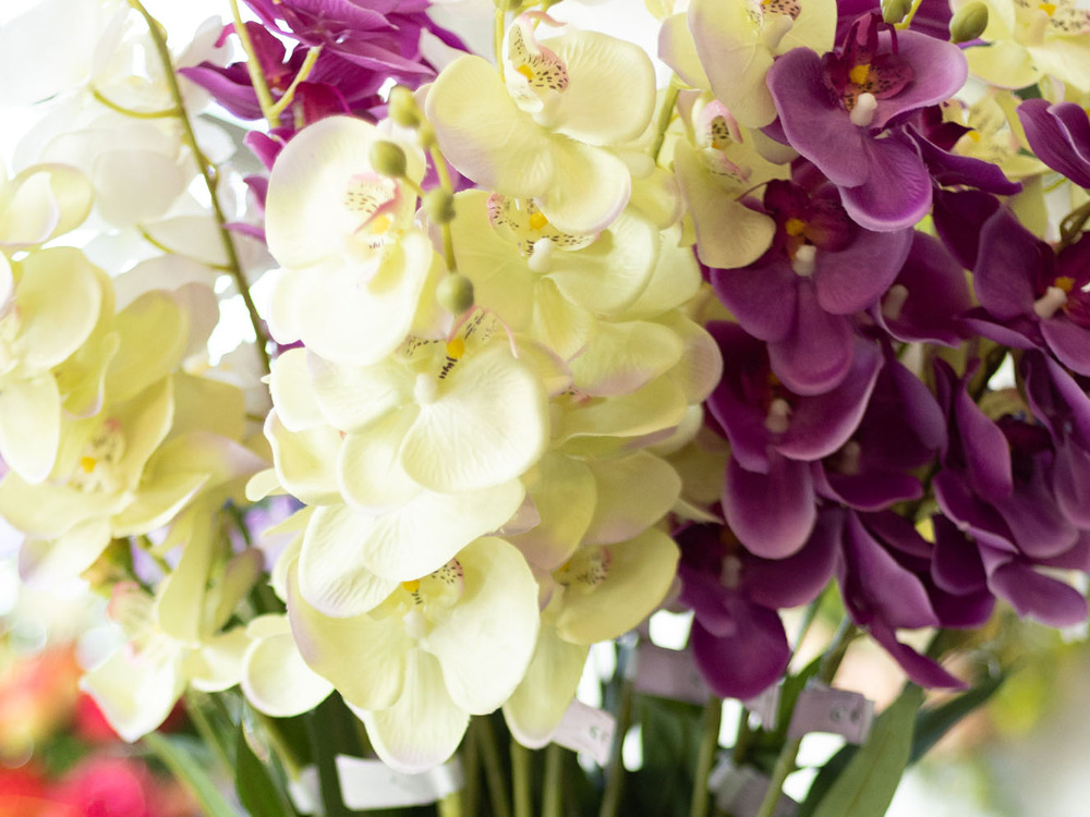 Services funéraires complets en Charente-Maritime