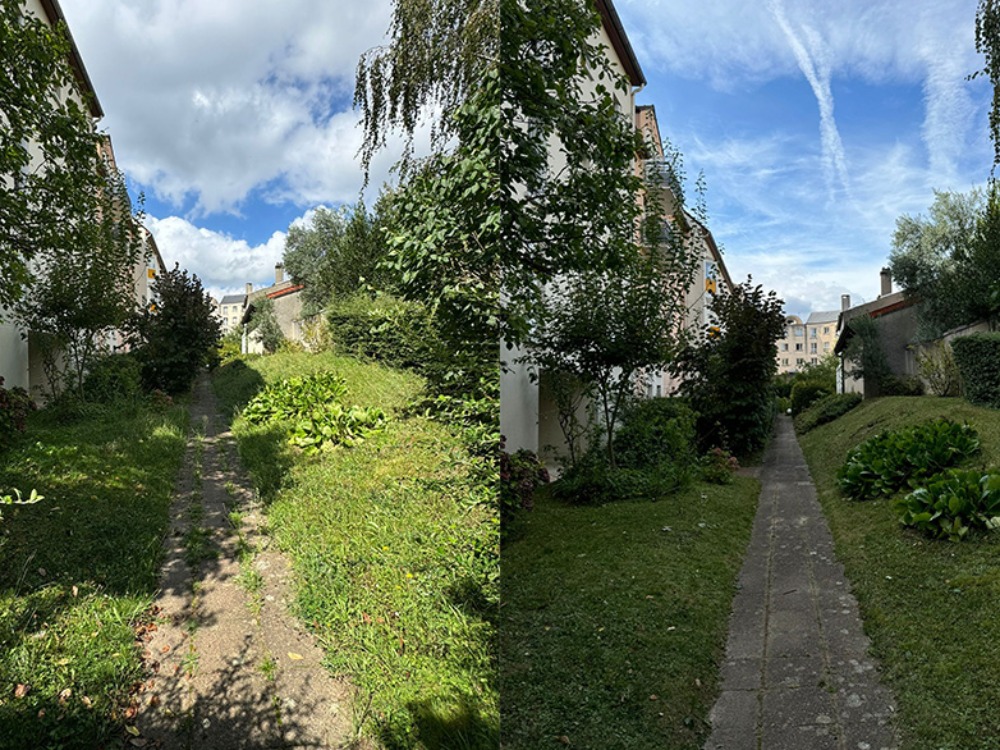 Création et entretien d'espaces verts Essonne