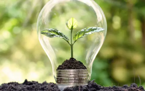 EFMs2kVNQCslB1IQDi5Ya6BmRDwpVglPGOEaA2nF