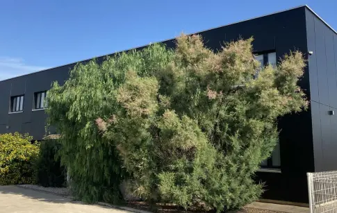 cae8822f-43b8-4a47-ac70-649a3aa635b0