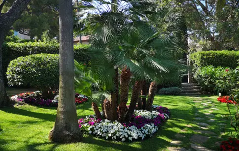 entretien-jardin-rupreux (2)