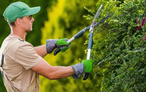 8671987d-c8c6-46b1-b607-f61f8c28ea57