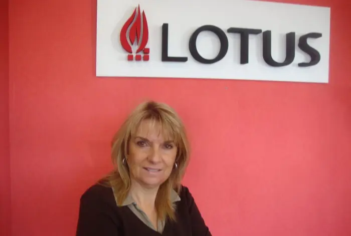 Vente et installation de poêles à bois Vendenheim