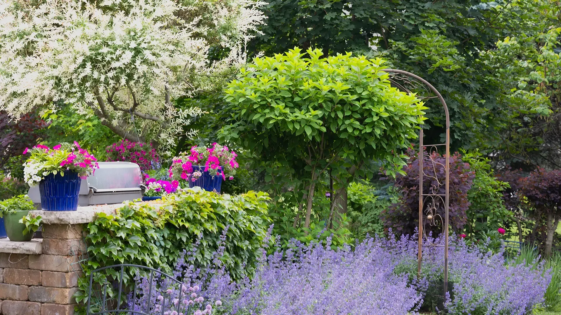 Création et entretien de jardins autour de Brumath