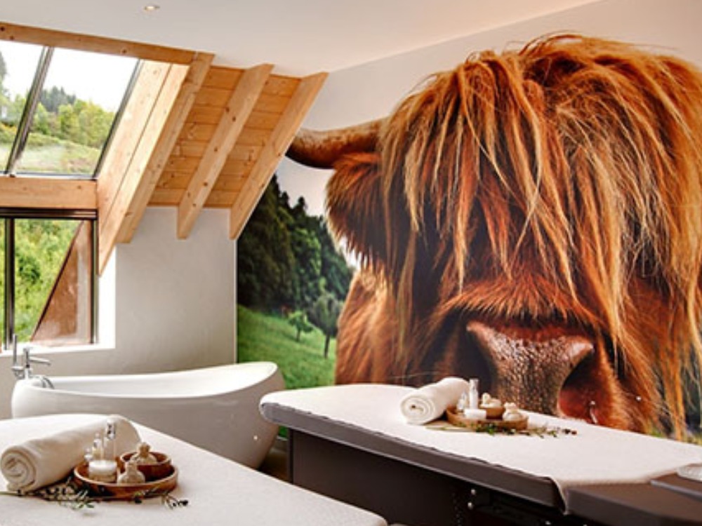 Décoration intérieure dans le Bas-Rhin