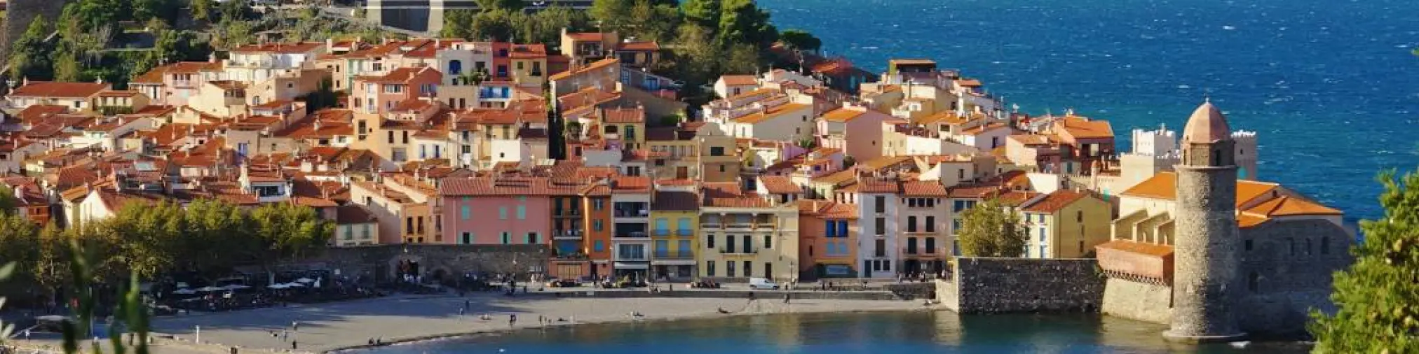 entreprise Languedoc-Roussillon