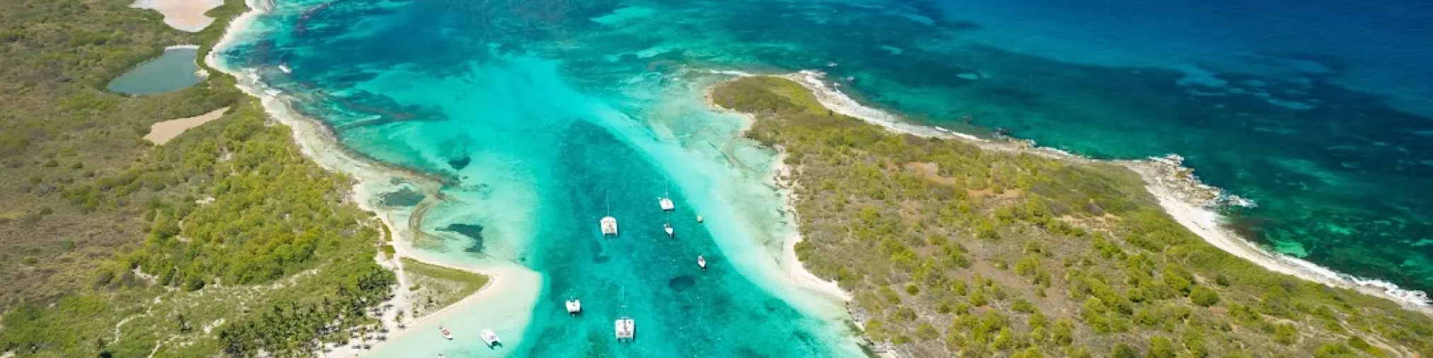 entreprise Départements d'outre mer