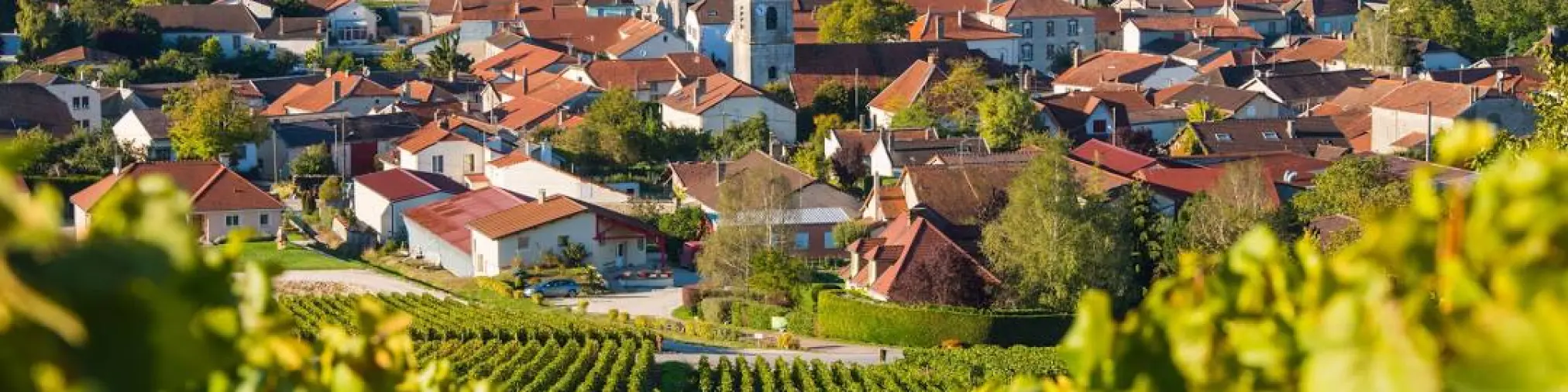 entreprise Champagne-Ardenne