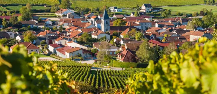 Trouvez les Meilleures <br>Entreprises de la région Champagne-Ardenne